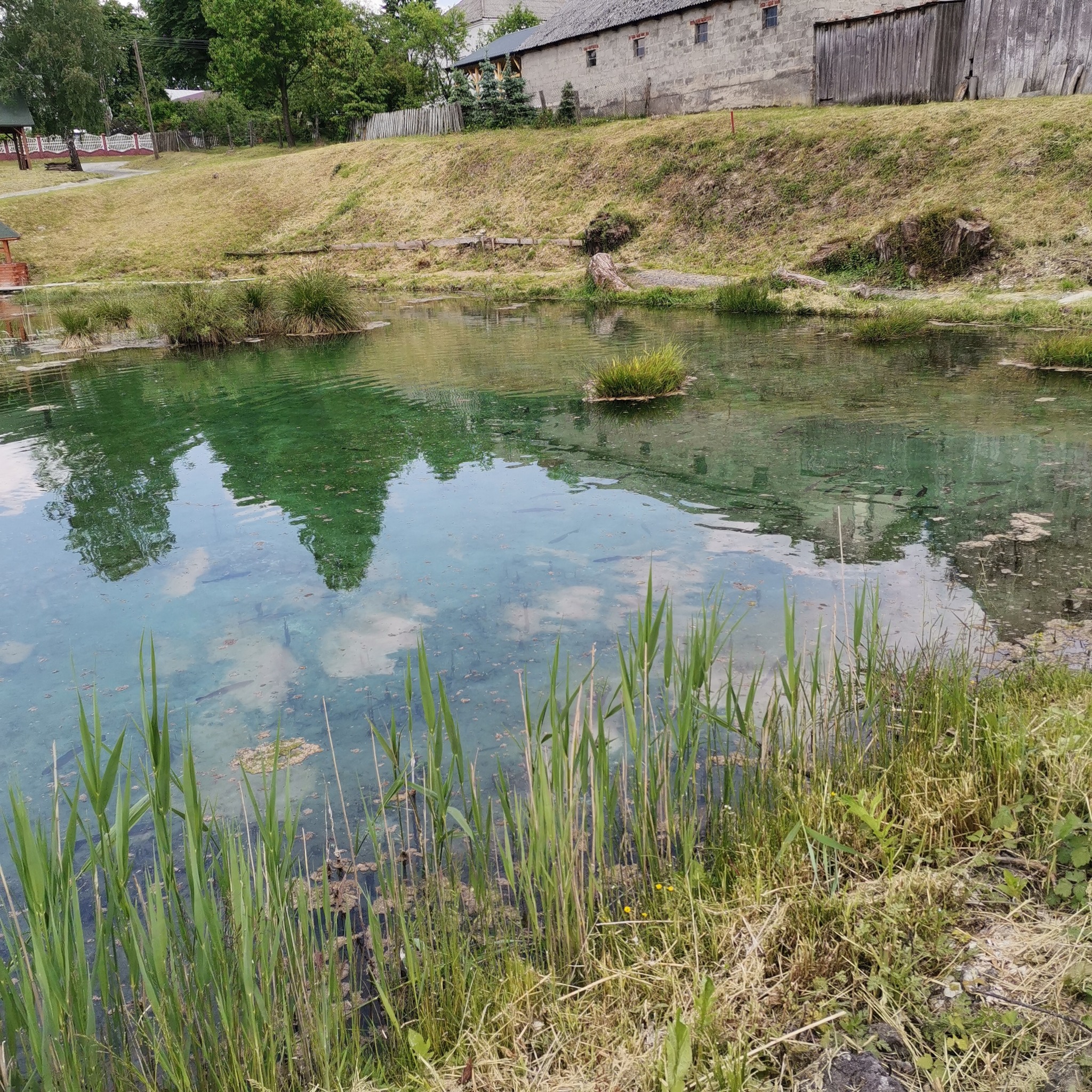 Wycieczkowy Tydzień